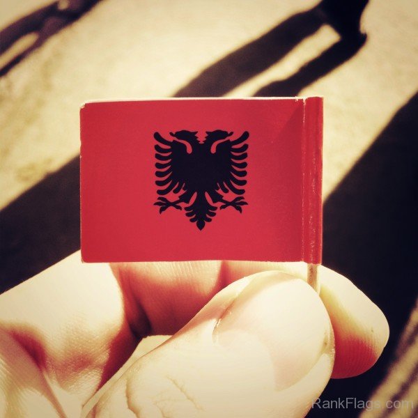 Flag Of Albanian