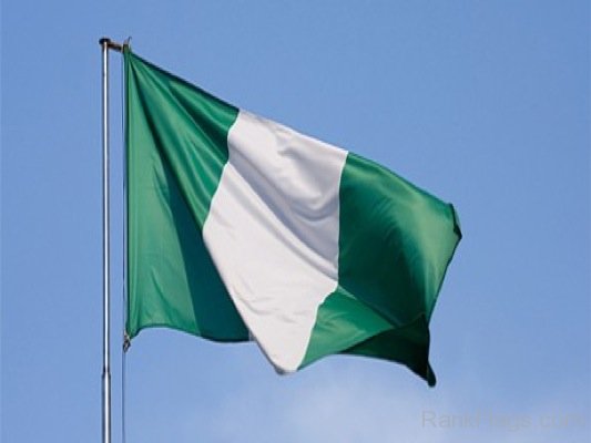 Image Of Nigeria Flag