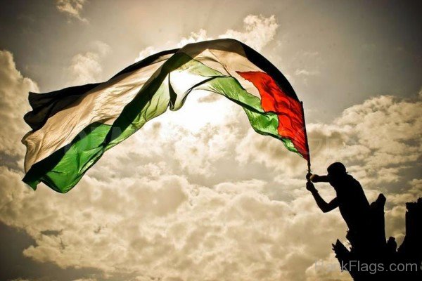 Image Of Palestinian territories Flag