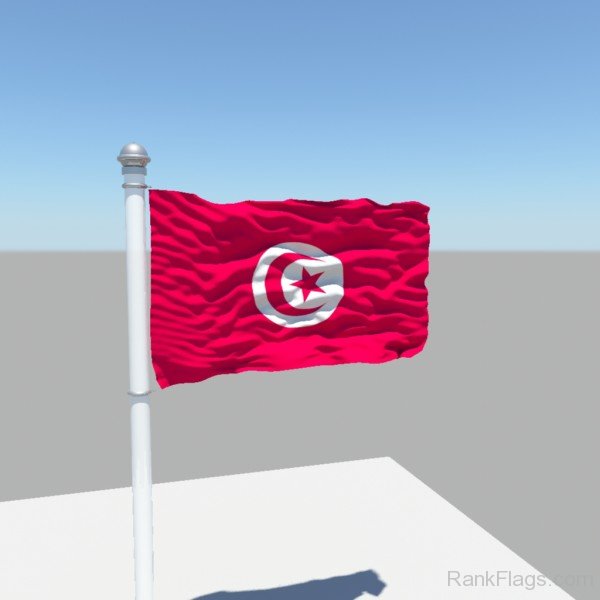 Image Of Tunisia Flag