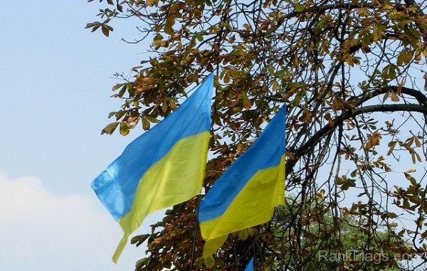 Image Of Ukraine Flag