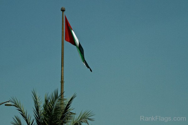 Image Of United Arab Emirates