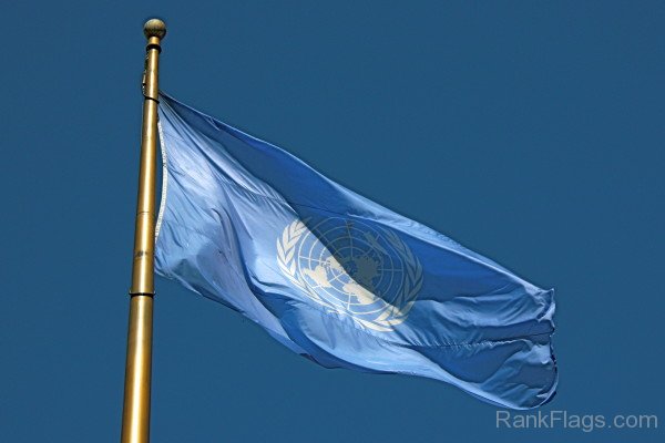 Image Of United Nations Organization