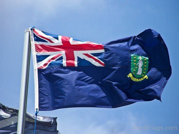Image Of Virgin Islands Flag