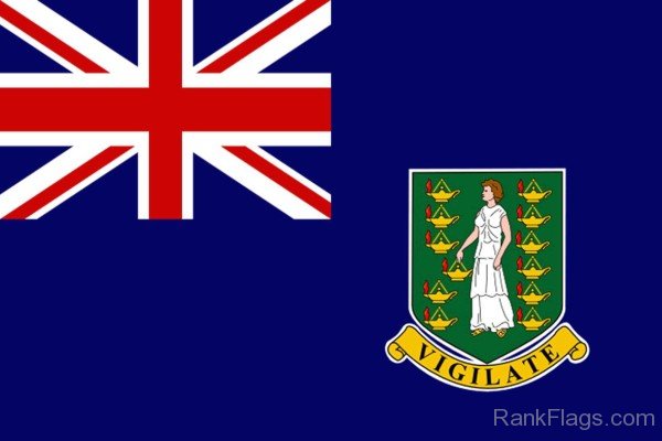 National Flag Of Virgin Islands
