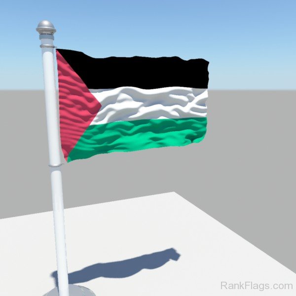 Palestinian territories Flag Image