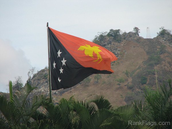Photo Of Papua New Guinea Flag