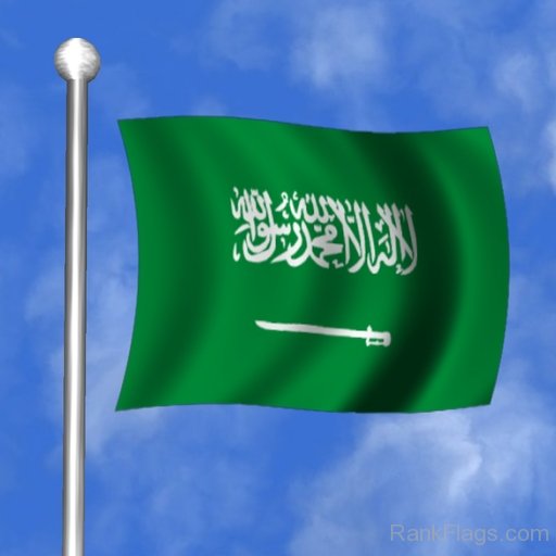 Photo Of Saudi Arabia Flag