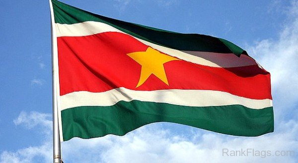 Photo Of Suriname Flag