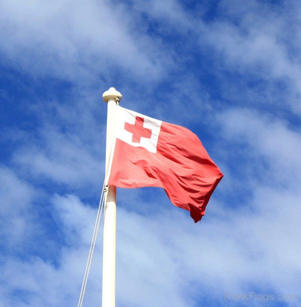 Photo Of Tonga Flag