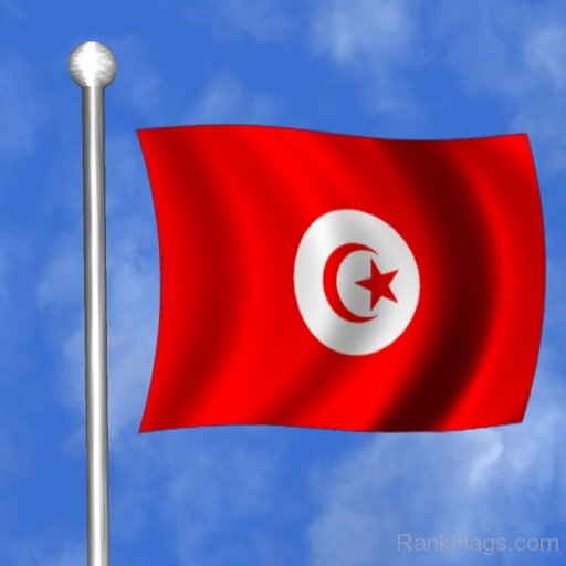 Photo Of Tunisia Flag