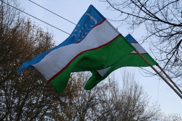 Photo Of Uzbekistan flag