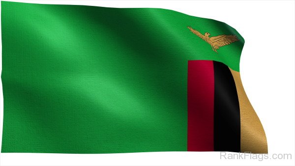Photo Of Zambia Flag