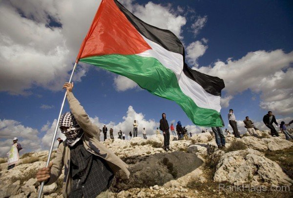 Picture Of Palestinian territories Flag