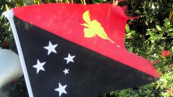 Picture Of Papua New Guinea Flag
