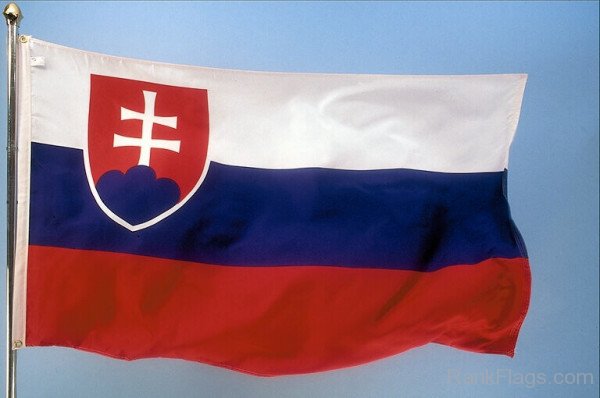 Picture Of Slovakia Flag