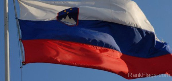 Picture Of Slovenia Flag