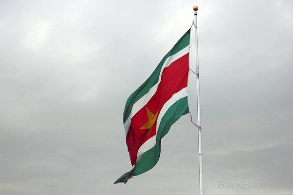 Picture Of Suriname Flag