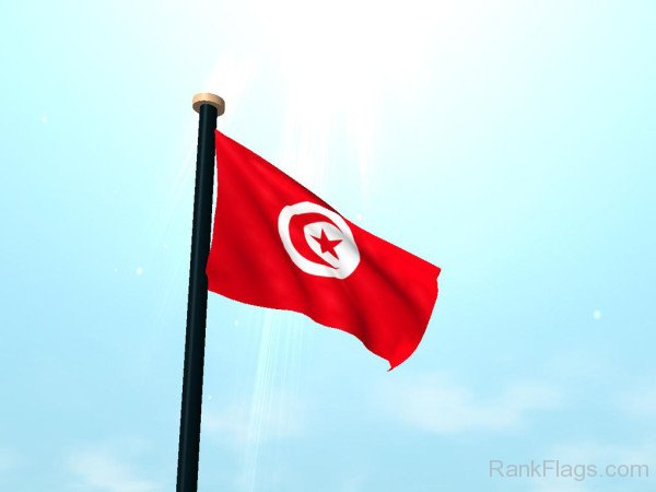 Picture Of Tunisia Flag
