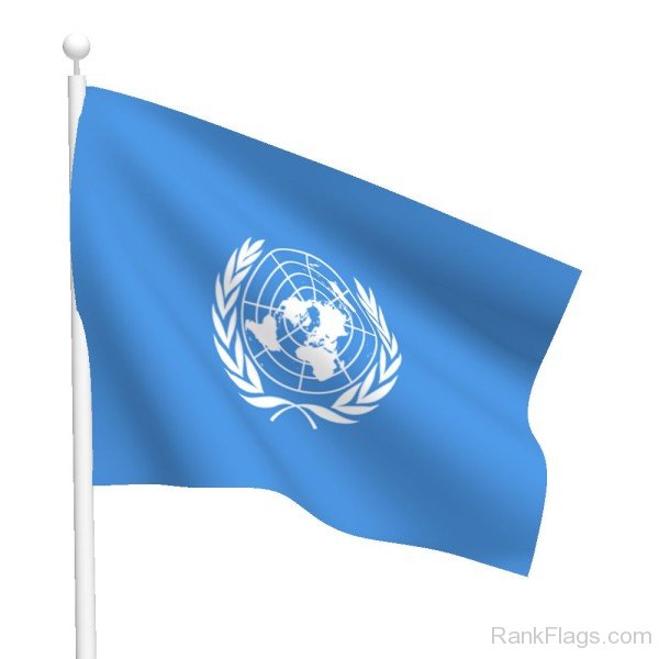 Picture Of United Nations Organization Flag