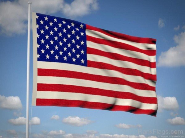 Picture Of United States Flag