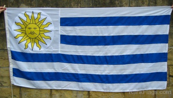 Picture Of Uruguay Flag