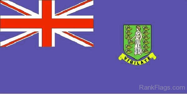 Picture Of Virgin Islands Flag