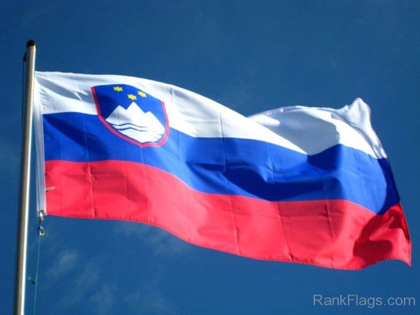 Slovenia Flag Image