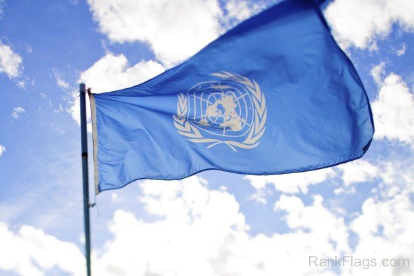 United Nations Organization Flag Image