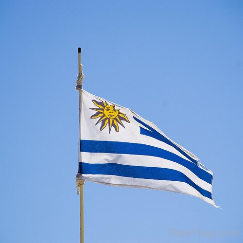 Uruguay National Flag Image