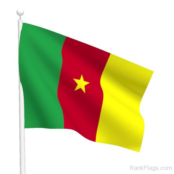 Image Of Cameroon Flag
