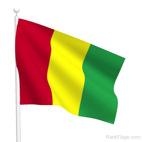 Image Of Guinea Flag
