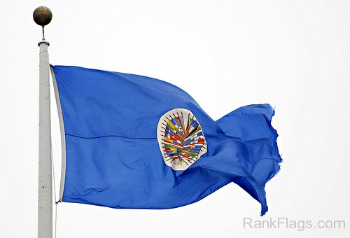 Image Of OAS Flag