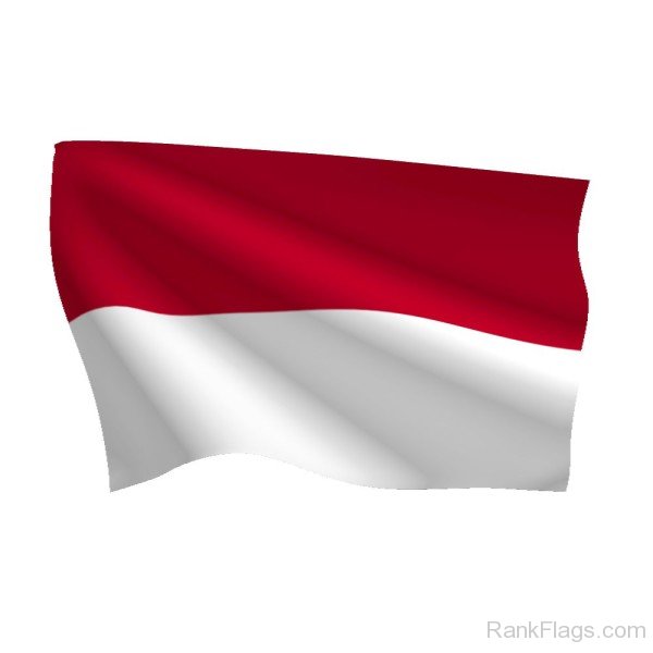 Indonesia Flag Picture