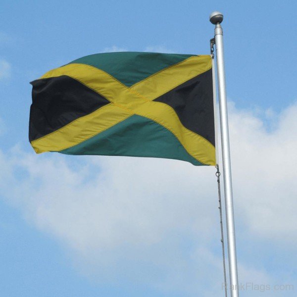 Jamaica Flag Picture