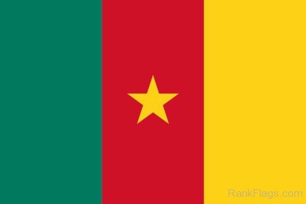 National  Flag Of Cameroon