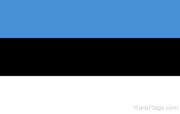 National  Flag Of Estonia