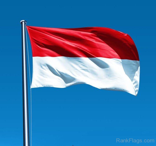 Picture Of Indonesia Flag