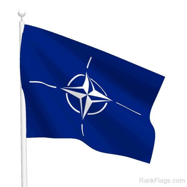 Picture Of  NATO Flag