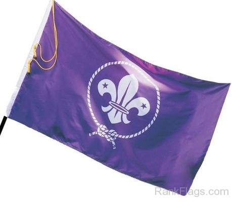 Picture Of  World Organization of the Scout Movement Flag