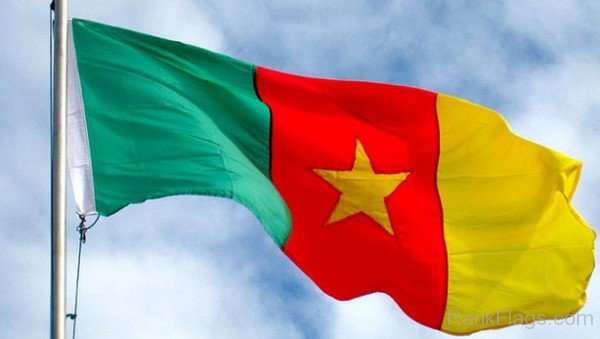 Waving Cameroon Flag