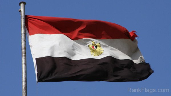 Waving Egypt Flag