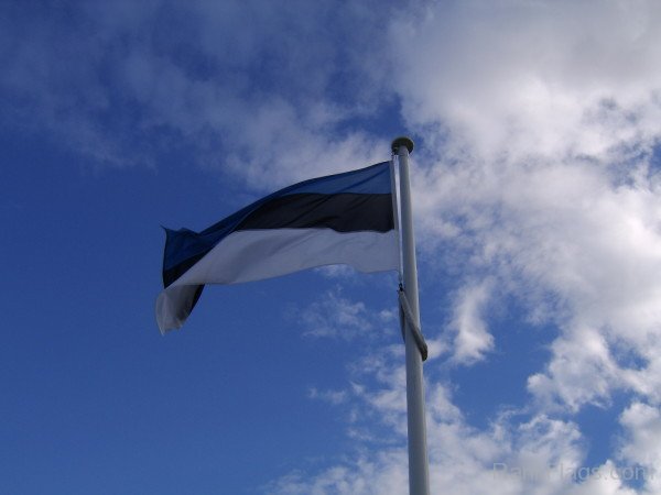 Waving Estonia Flag