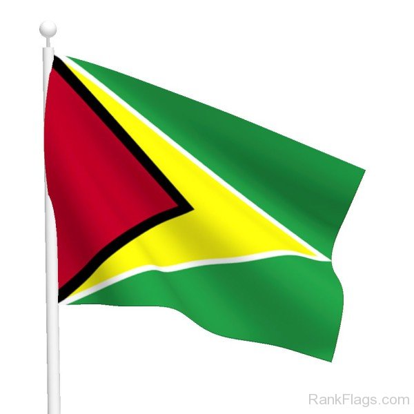 Waving Guyana Flag