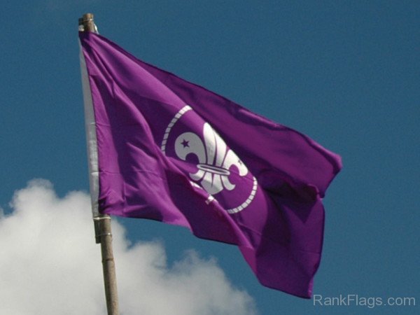 Waving World Organization of the Scout Movement Flag