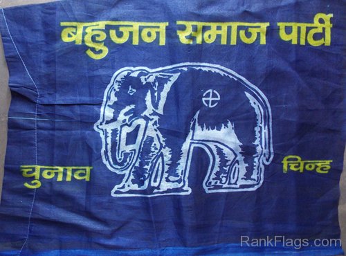 Bahujan Samaj Party Flag