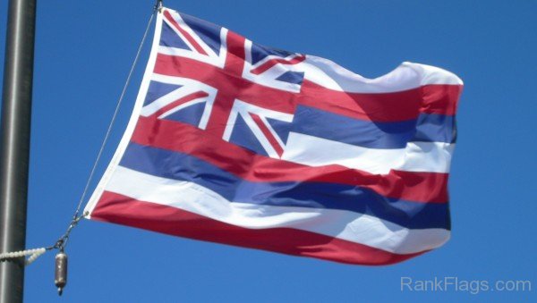 Flag Of Hawaii