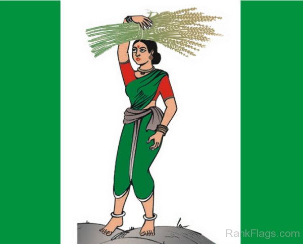 Flag Of Janata Dal (Secular)