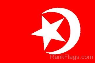 In The Golden Age Of Islam Flag