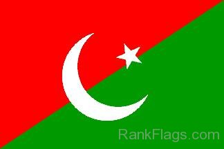 Millat Party Flag